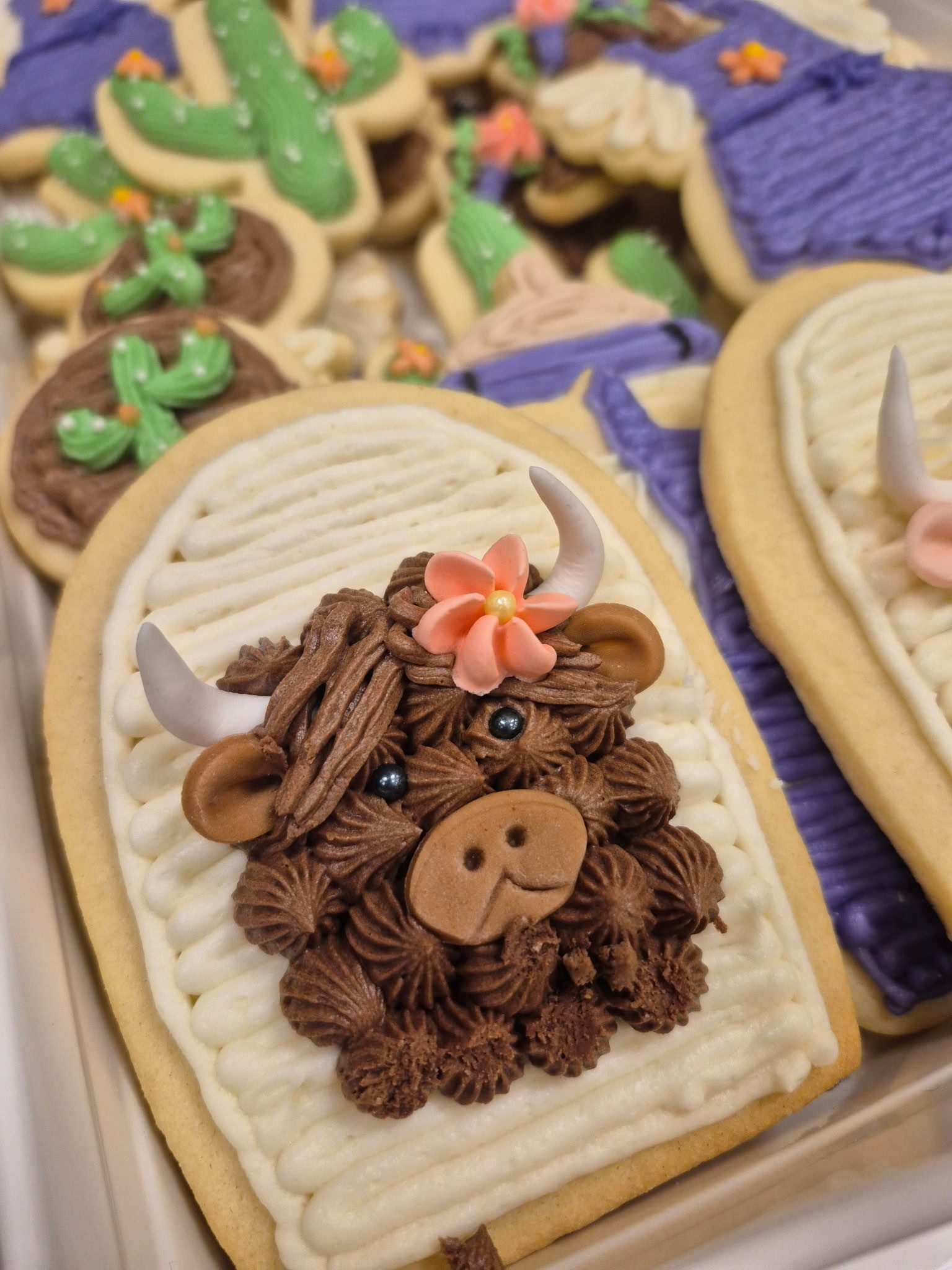An extreme close-up of a custom sugar cookie shaped like an arch, decorated with white frosting, a brown textured highland cow face, and a little pink flower.